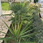 Garden Sofia & Ξενοδοχείο Εξαμίλιο