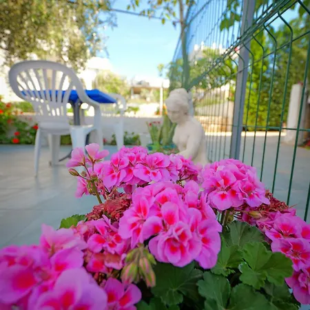 Garden Sofia - Free Parking Ksamil