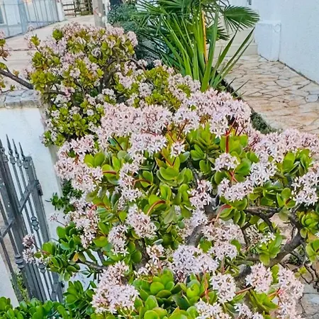 Hotel Garden Sofia - Free Parking Ksamil