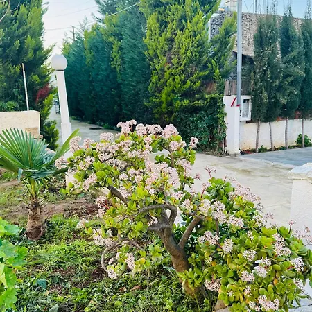 Garden Sofia - Free Parking * Ksamil