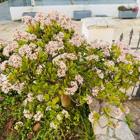 Garden Sofia - Free Parking Hotel Ksamil