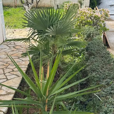 Garden Sofia - Free Parking Hotel Ksamil