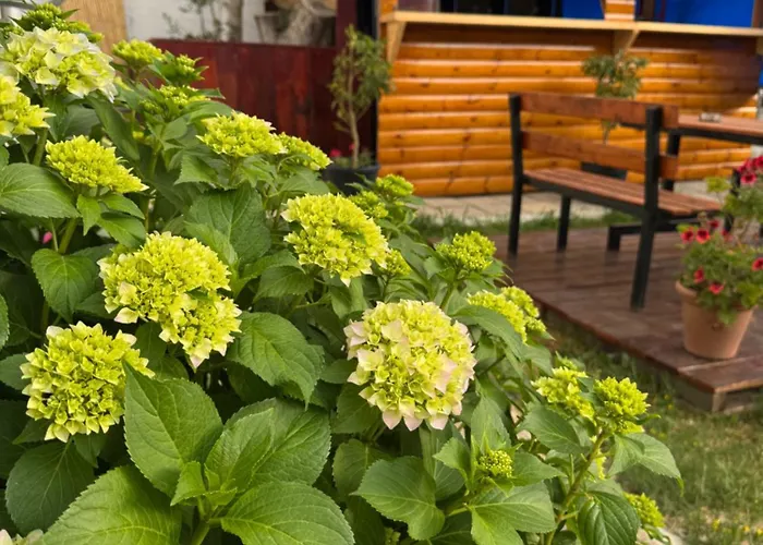 Garden Sofia 1- Free Parking Ksamil