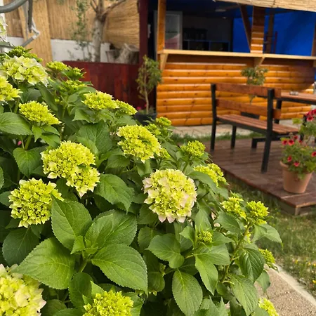 Garden Sofia - Free Parking Ksamil