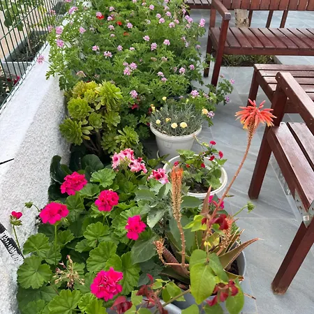 Garden Sofia 1- Free Parking Отель