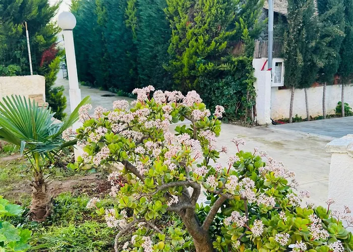 Garden Sofia Apartments&studios * Ksamil