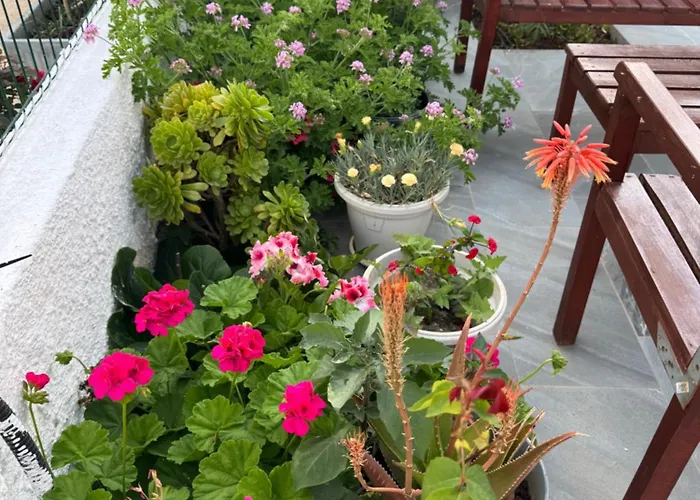 Garden Sofia Apartments&studios Hotel